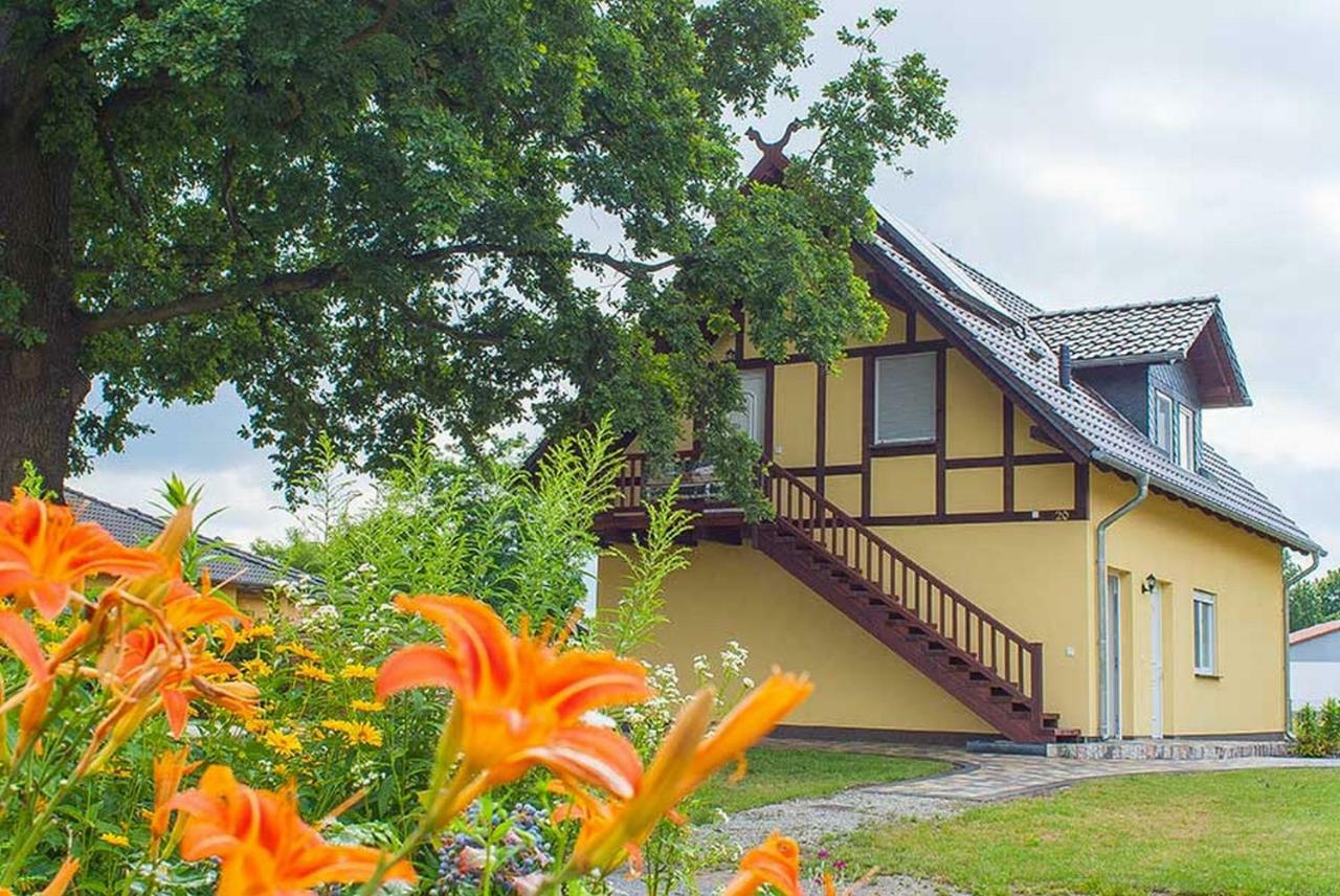 Ferienwohnungen Am Roten Nil Lübben Exteriér fotografie